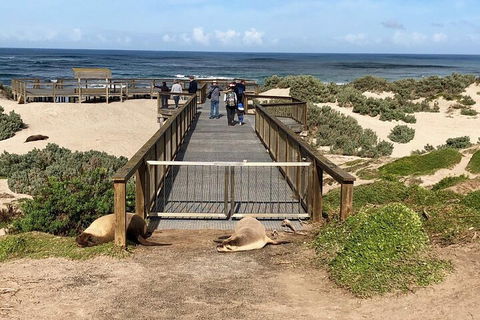 Kangaroo Island 4WD Tour - Best Of KI - Accommodation Whitsundays 2